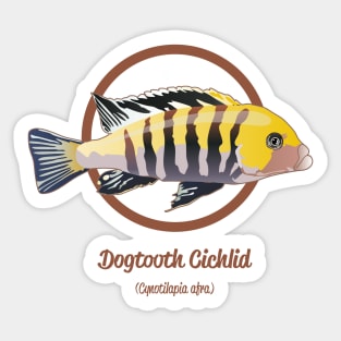 Dogtooth Cichlid Sticker